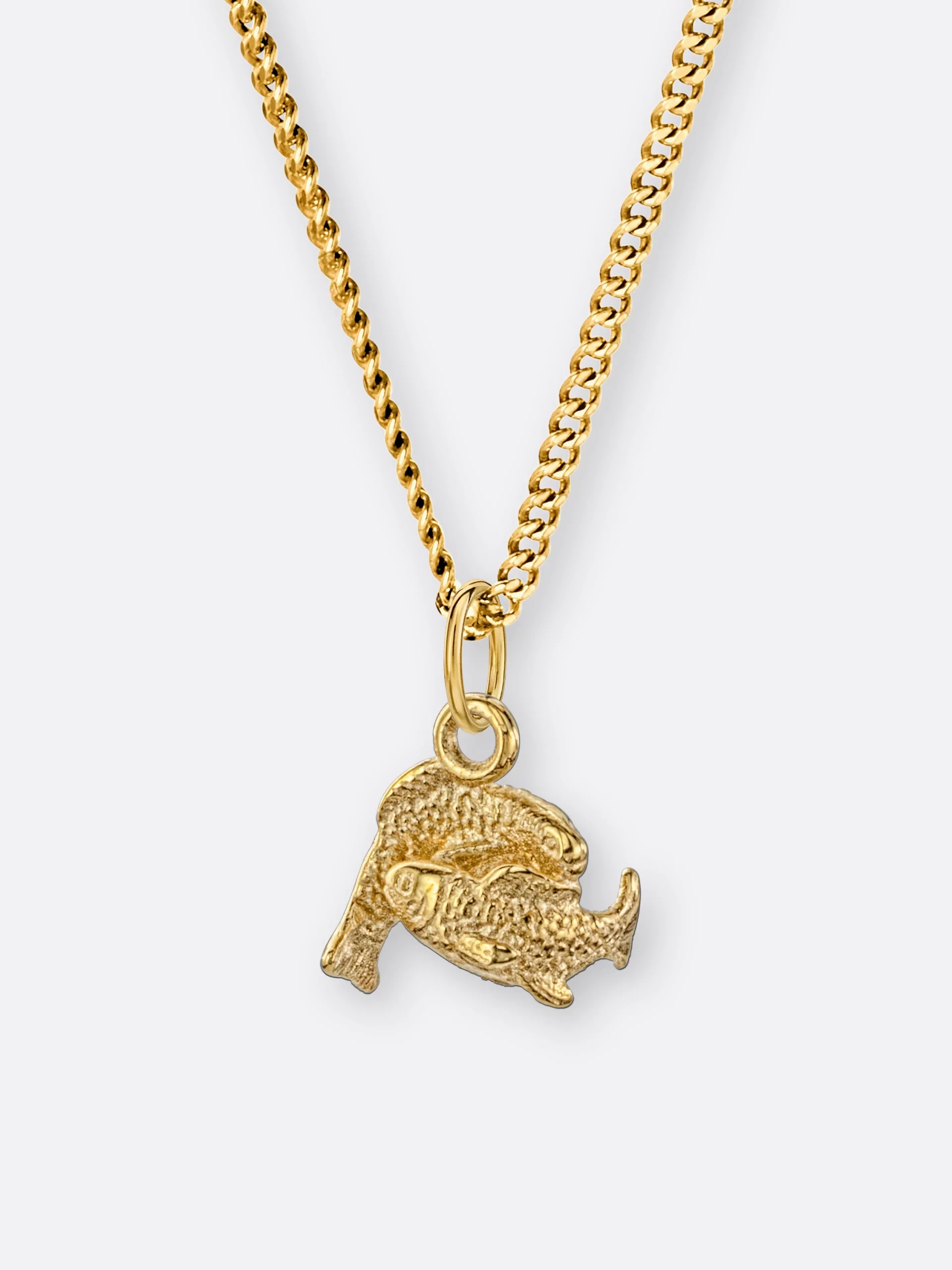 Fische Sternzeichenkette mit Anhänger klein, Gold, Vorne