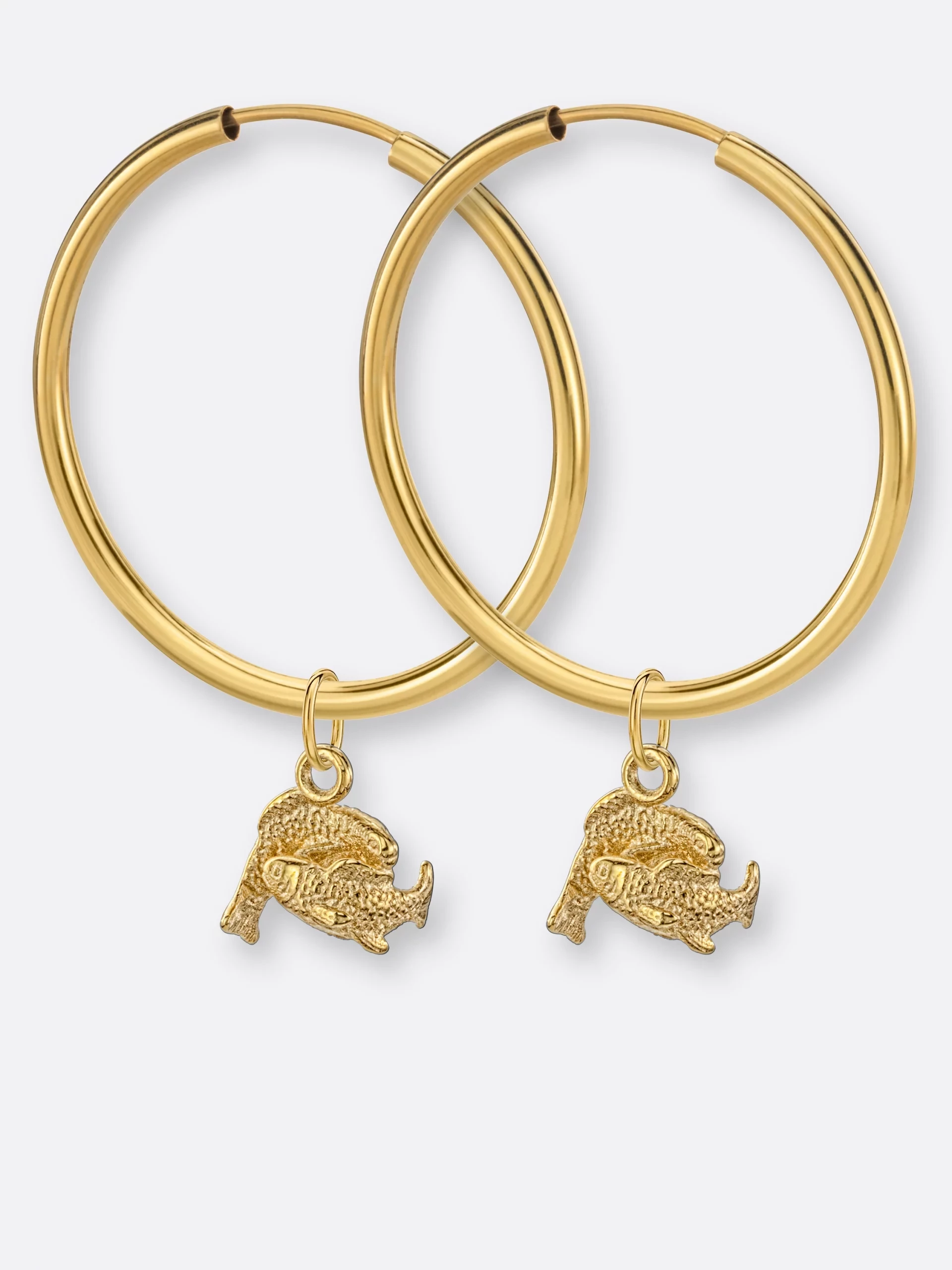 Fische Ohrring-Creolen groß mit Sternzeichen-Anhängern klein, Gold, Paar