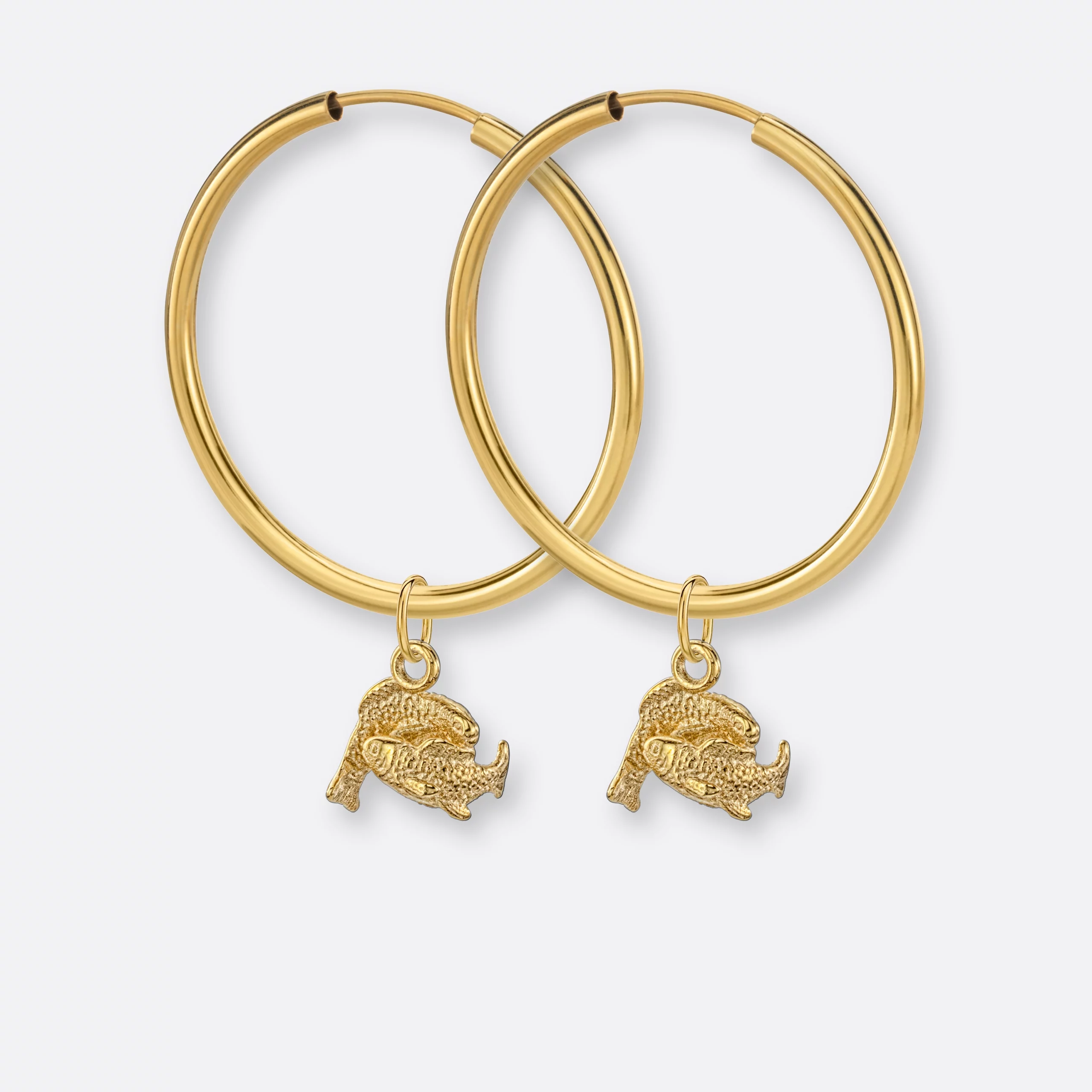 Fische Ohrring, Anhänger klein, 585er Gold 12 Fische Ohrring-Creolen groß mit Sternzeichen-Anhängern klein, Gold, Paar