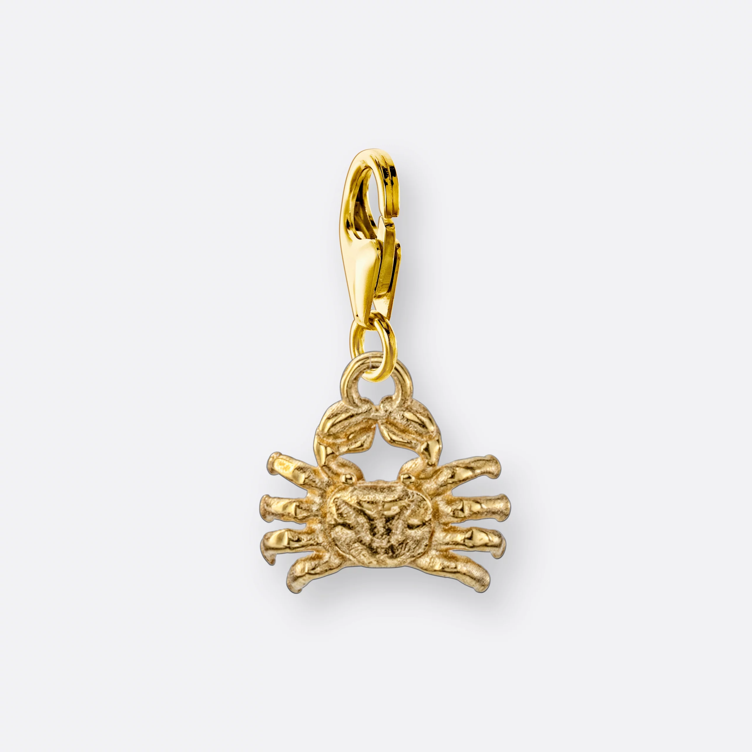 Krebs Charm, Anhänger klein, 585er Gold 10 Krebs Charm mit Sternzeichen Anhänger klein, Gold, Vorne