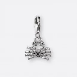 Krebs Charm, Anhänger klein, 925er Silber 15 Krebs Charm mit Sternzeichenanhänger klein, Silber, Vorne