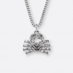 Krebs Sternzeichen-Kette mit Anhänger groß, Silber, Vorne