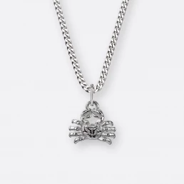 Krebs Halskette mit Anhänger klein, Silber, Vorne