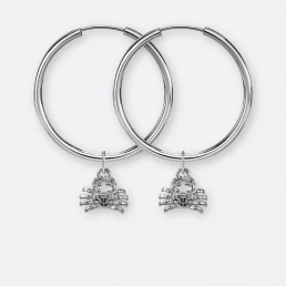 Krebs Ohrring, Anhänger klein, 925er Silber 18 Krebs Ohrringe groß mit Sternzeichen Anhängern klein, Silber, Paar, Vorne