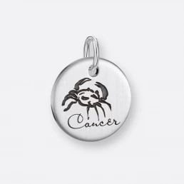 Krebs Anhänger, Gravur, 925er Silber 10 Krebs Anhänger Anhänger, Coin mit Gravur, Silber, Vorne
