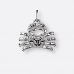 Krebs Anhänger groß, 925er Silber 8 Krebs Sternzeichen-Anhänger), groß, Silber, Vorne