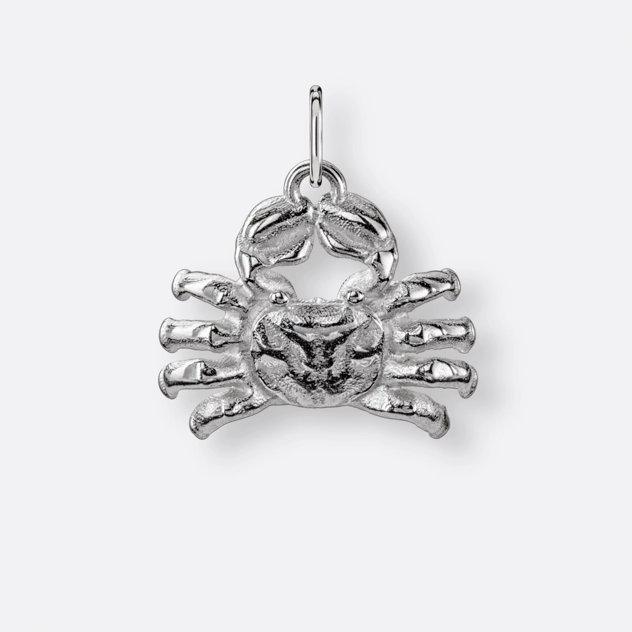 Krebs Sternzeichen-Anhänger), groß, Silber, Vorne