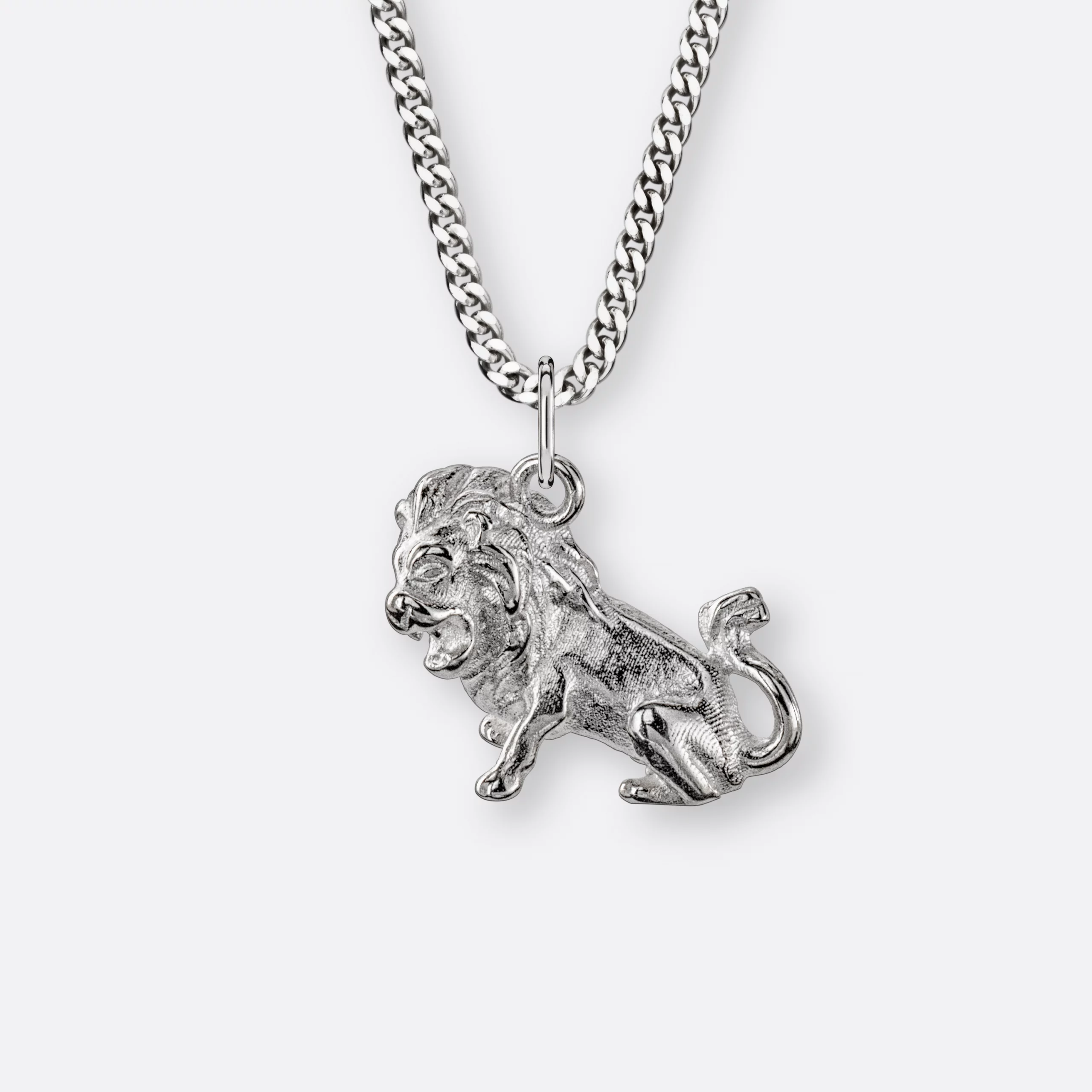 Löwe Halskette mit Sternzeichen Anhänger groß, Silber, Seite