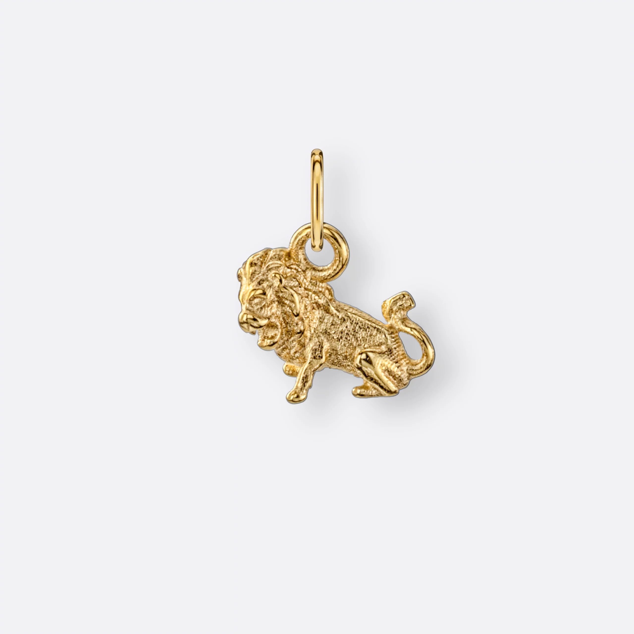 Löwe Anhänger klein, 585er Gold 14 Löwe Sternzeichen-Anhänger, klein, Gold, Vorne