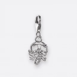 Skorpion Charm, Anhänger klein, 925er Silber 9 Skorpion Charm mit Anhänger klein, Silber, Vorne