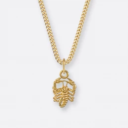 Skorpion Sternzeichenkette, Anhänger klein, 585er Gold 16 Skorpion Sternzeichenkette mit Anhänger klein, Gold, Vorne
