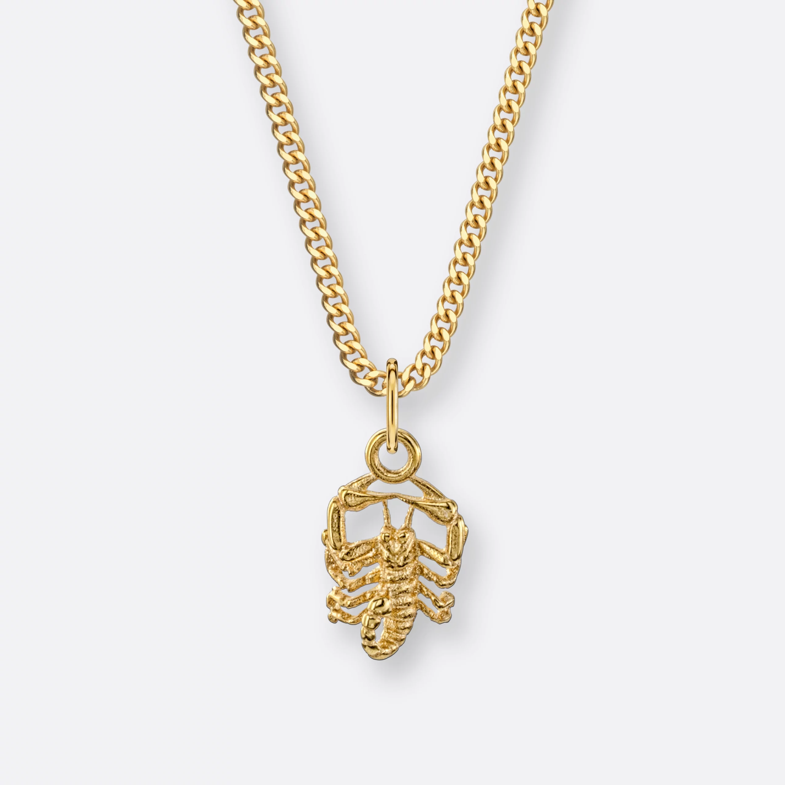 Skorpion Sternzeichenkette, Anhänger klein, 585er Gold 6 Skorpion Sternzeichenkette mit Anhänger klein, Gold, Vorne