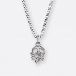 Skorpion Kette, Anhänger klein, 925er Silber 15 Skorpion Kette mit Sternzeichen-Anhänger klein, Silber, Vorne