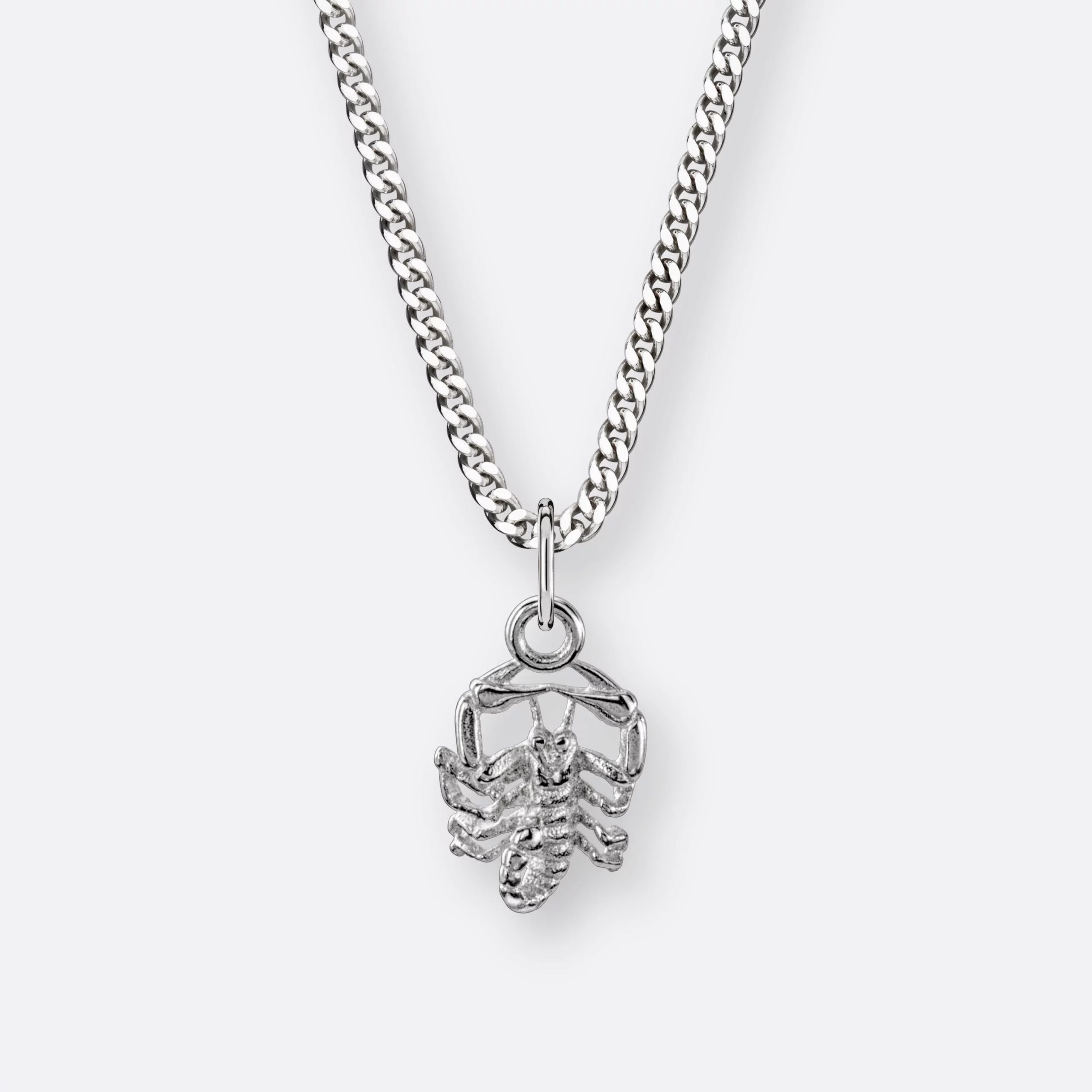 Skorpion Kette, Anhänger klein, 925er Silber 5 Skorpion Kette mit Sternzeichen-Anhänger klein, Silber, Vorne