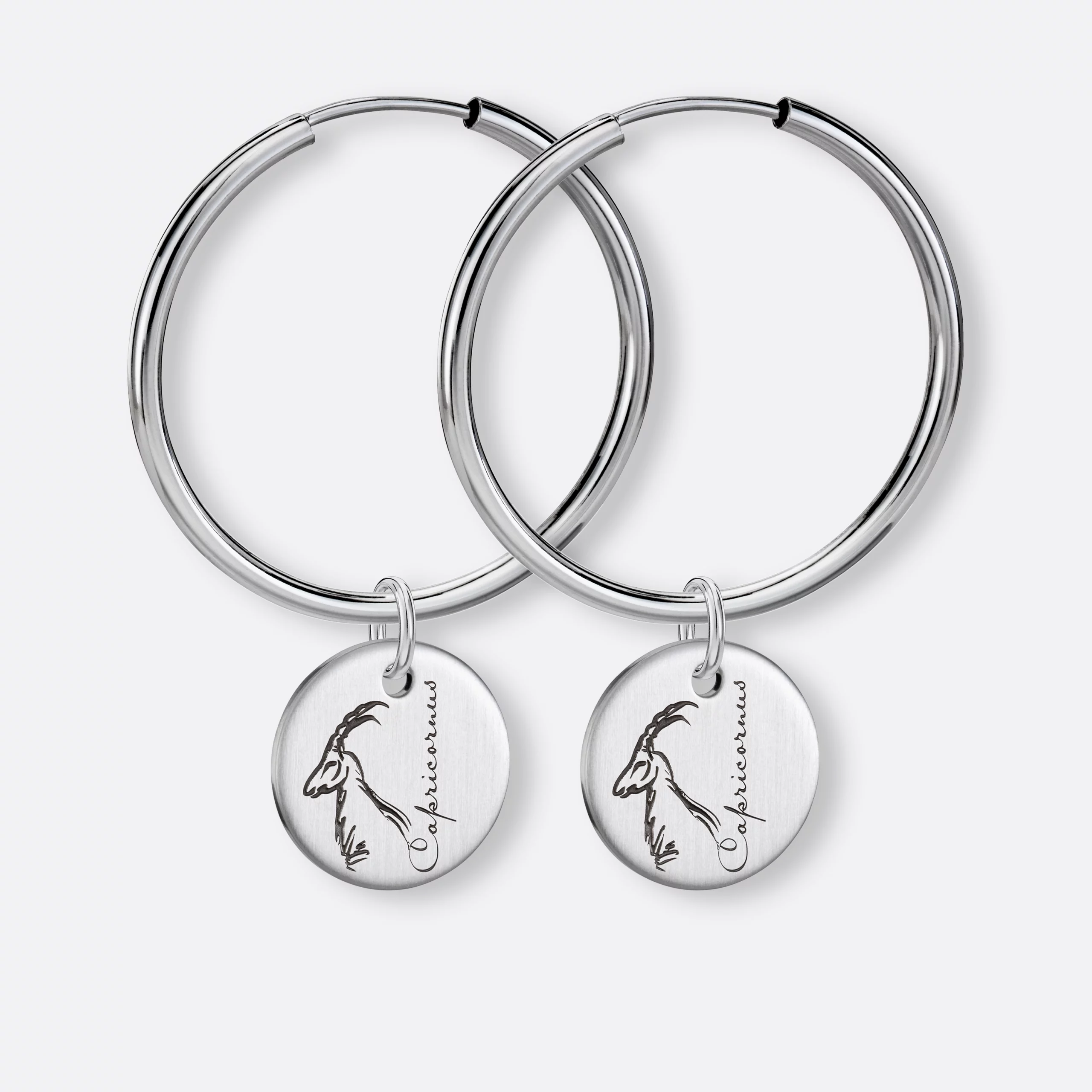 Steinbock Ohrring, Anhänger graviert, 925er Silber 6 Steinbock Ohrringe groß mit Sternzeichen-Anhänger-Coins graviert, Silber, Paar