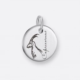 Steinbock Anhänger, Gravur, 925er Silber 6 Steinbock Anhänger, Coin mit Gravur, Silber