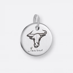 Stier Anhänger, Gravur, 925er Silber 5 Stier Anhänger Coin mit Gravur, Silber, Vorne