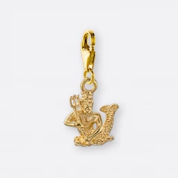 Wassermann Charm, Anhänger klein, 585er Gold 20 Wassermann Charm mit Anhänger klein, Gold, Vorne
